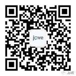 http://211.68.251.30:8080/_mediafile/tsg2025/2025/03/04/wlhv_image002.jpg
